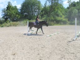 img_3582_web